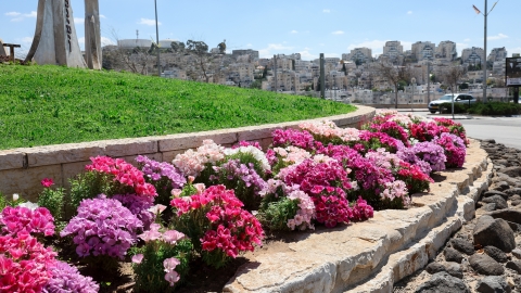 כיכר השבטים2.jpg
