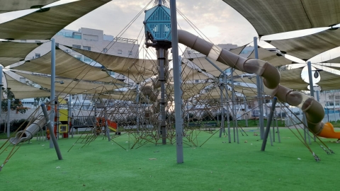 מהריל מול 10 (11).jpeg