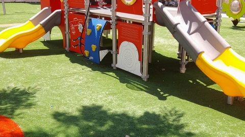 מרומי שדה 11 (3).jpeg