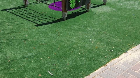 מרומי שדה 11 (1).jpeg